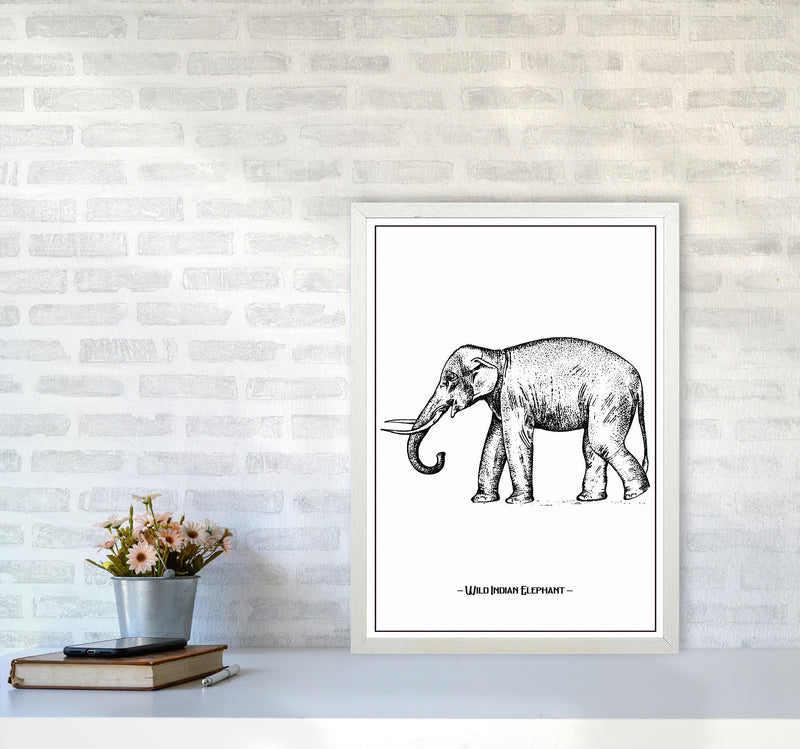 Wild Indian Elephant Art Print by Jason Stanley A2 Oak Frame