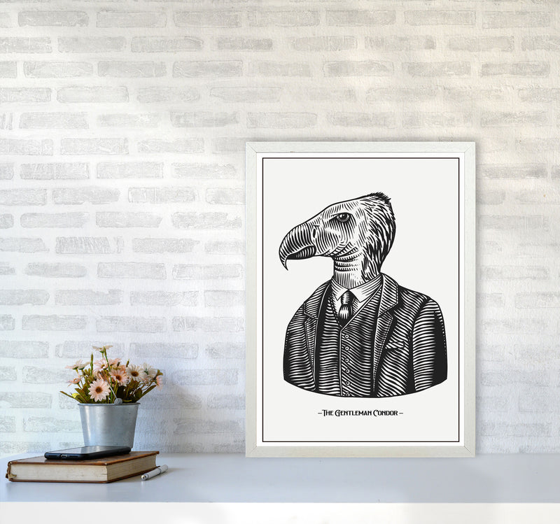 The Gentleman Condor Art Print by Jason Stanley A2 Oak Frame