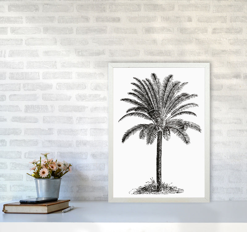 Vintage Palm Tree Art Print by Jason Stanley A2 Oak Frame