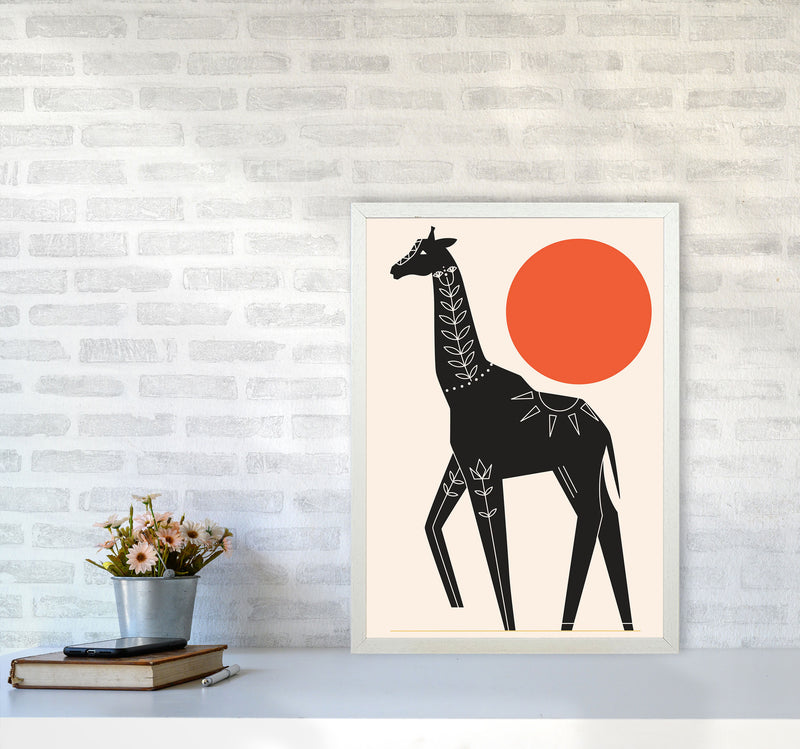 Giraffe In The Sun Art Print by Jason Stanley A2 Oak Frame
