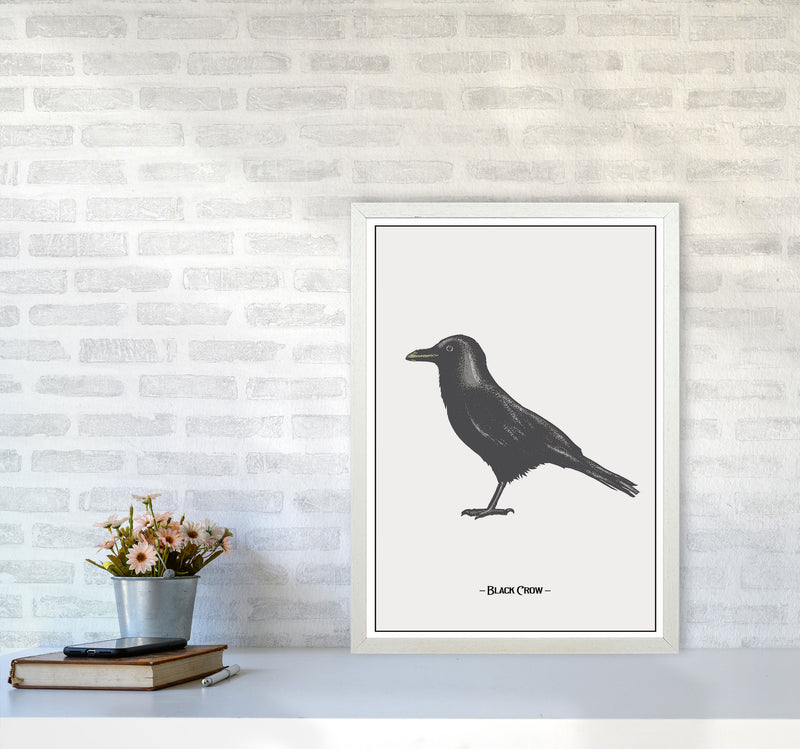 The Black Crow Art Print by Jason Stanley A2 Oak Frame