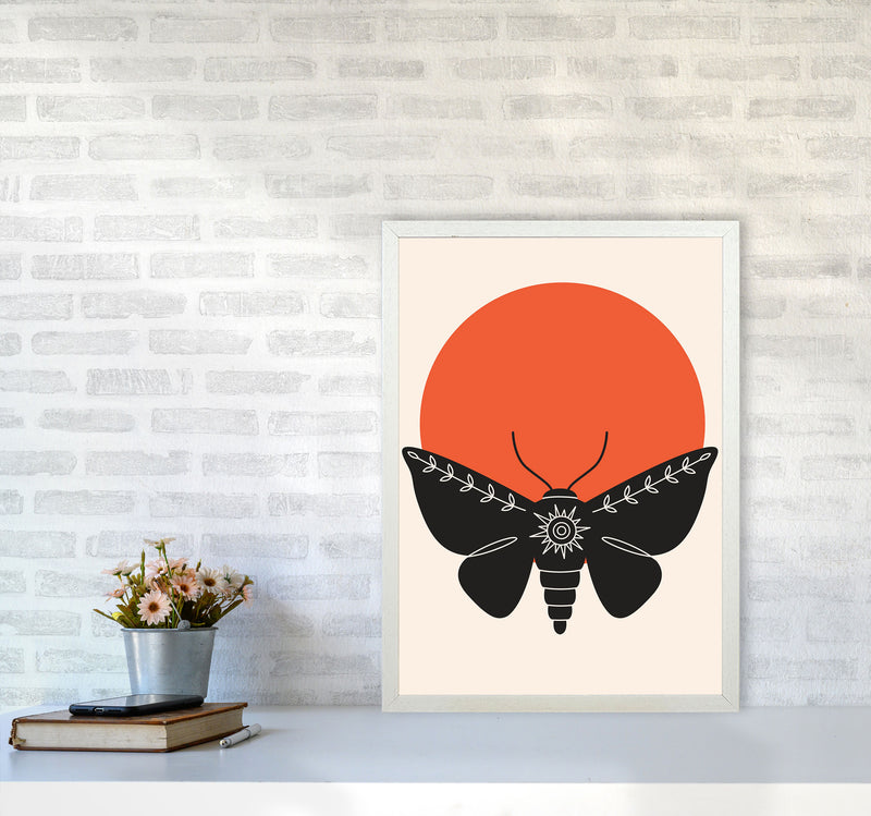 Sunshine Moth Art Print by Jason Stanley A2 Oak Frame