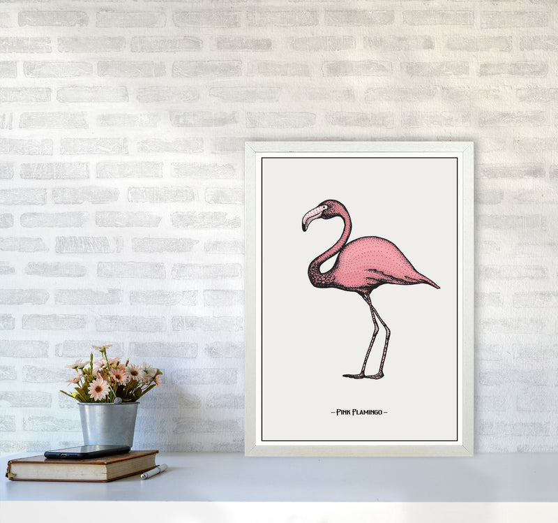 Pink Flamingo Art Print by Jason Stanley A2 Oak Frame