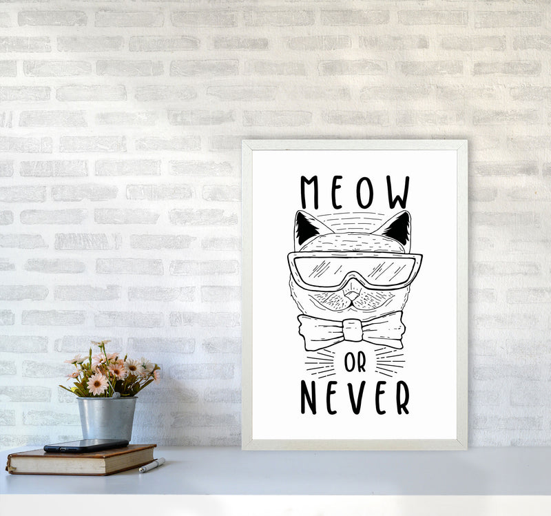 Meow Or Never Art Print by Jason Stanley A2 Oak Frame