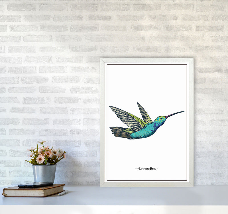 Humming Bird Art Print by Jason Stanley A2 Oak Frame