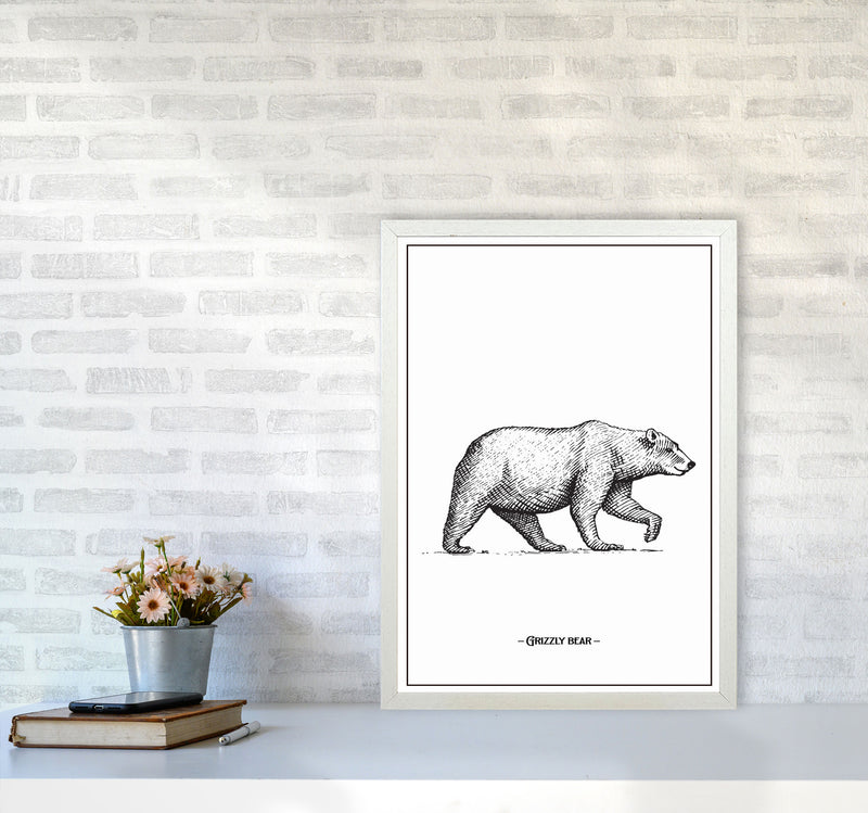 Grizzly Bear Art Print by Jason Stanley A2 Oak Frame