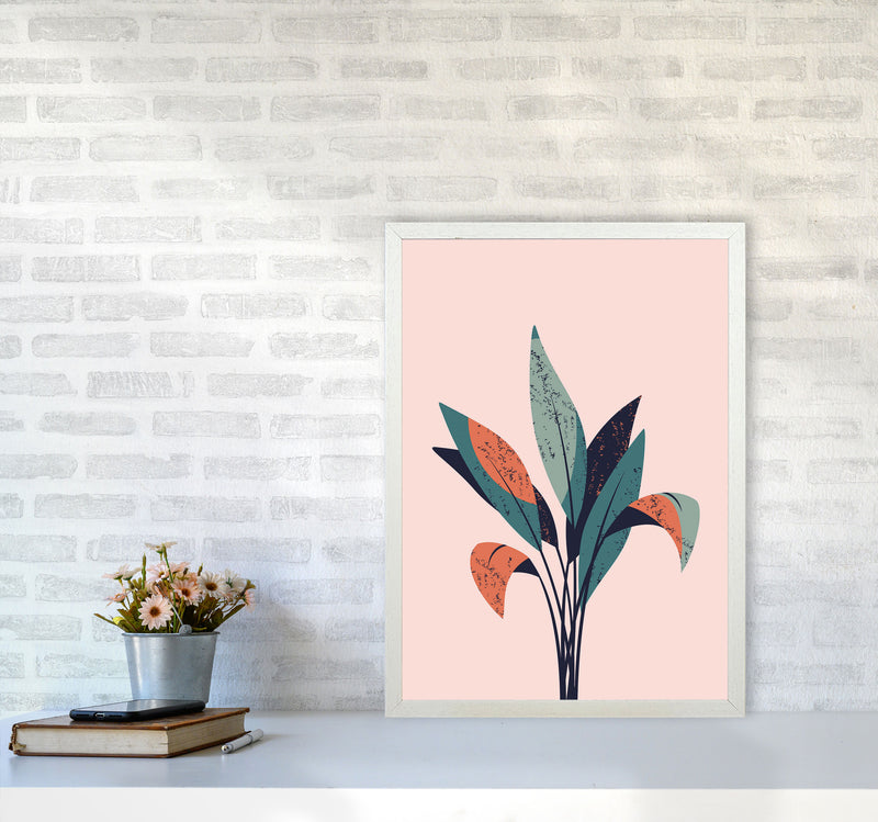Pink Plant Art Print by Jason Stanley A2 Oak Frame