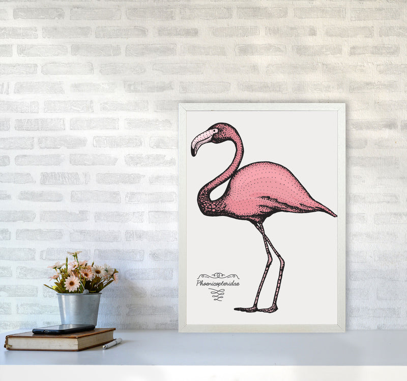 Flamingo Art Print by Jason Stanley A2 Oak Frame