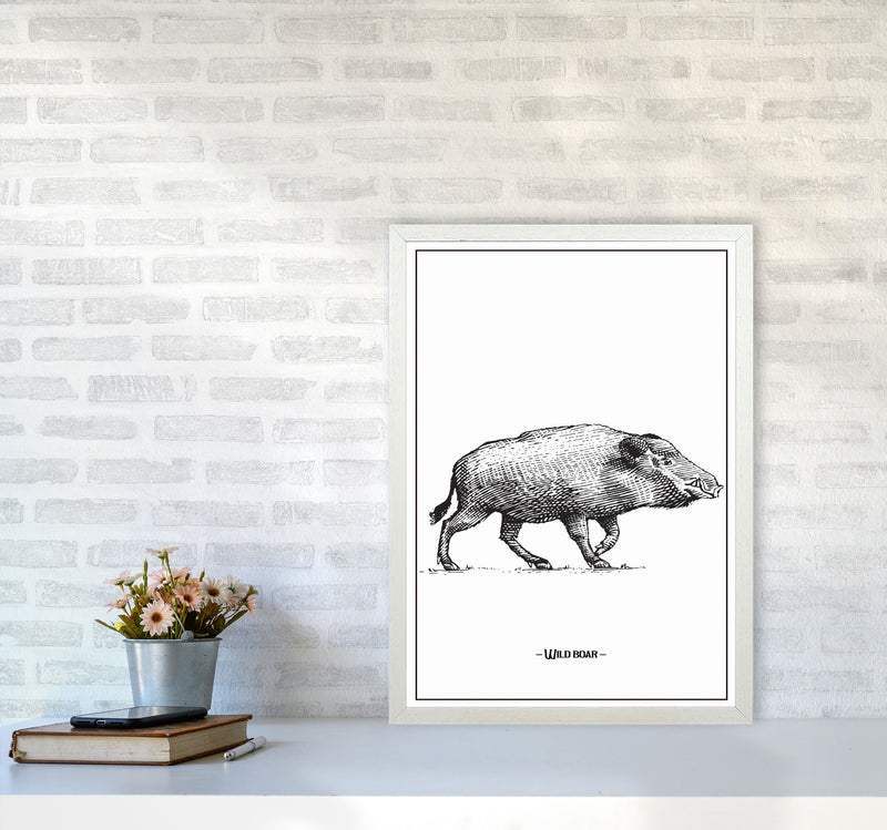 Wild Boar Art Print by Jason Stanley A2 Oak Frame
