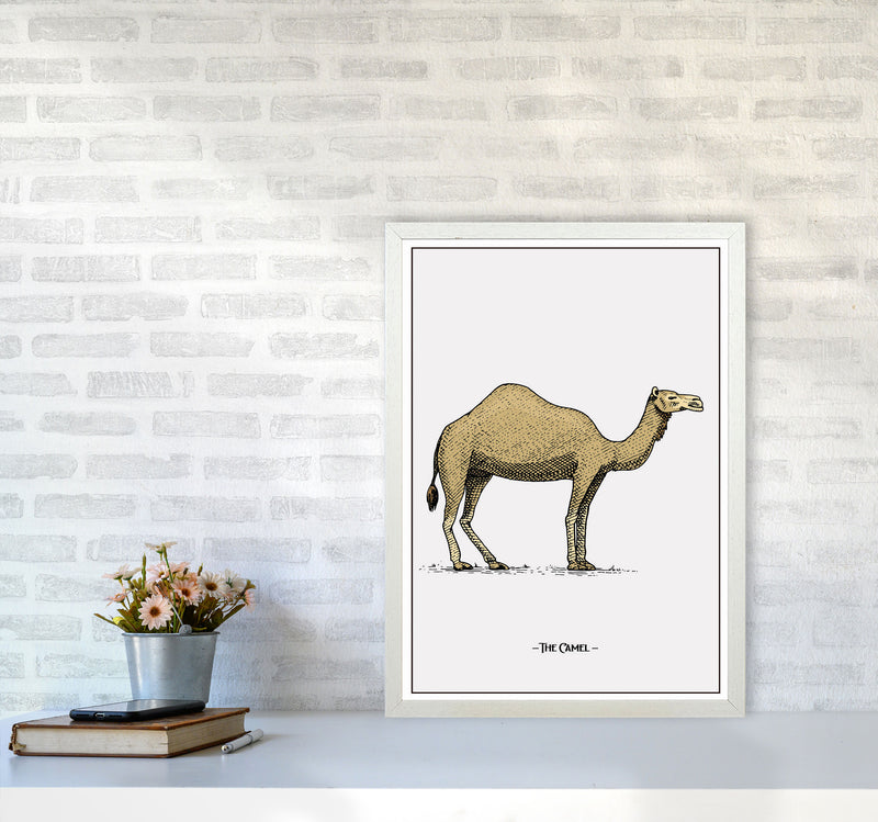 The Camel Art Print by Jason Stanley A2 Oak Frame