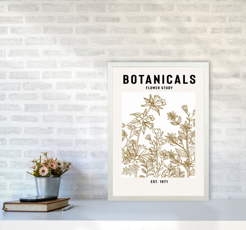 Botanicals Flower Study II Art Print by Jason Stanley A2 Oak Frame