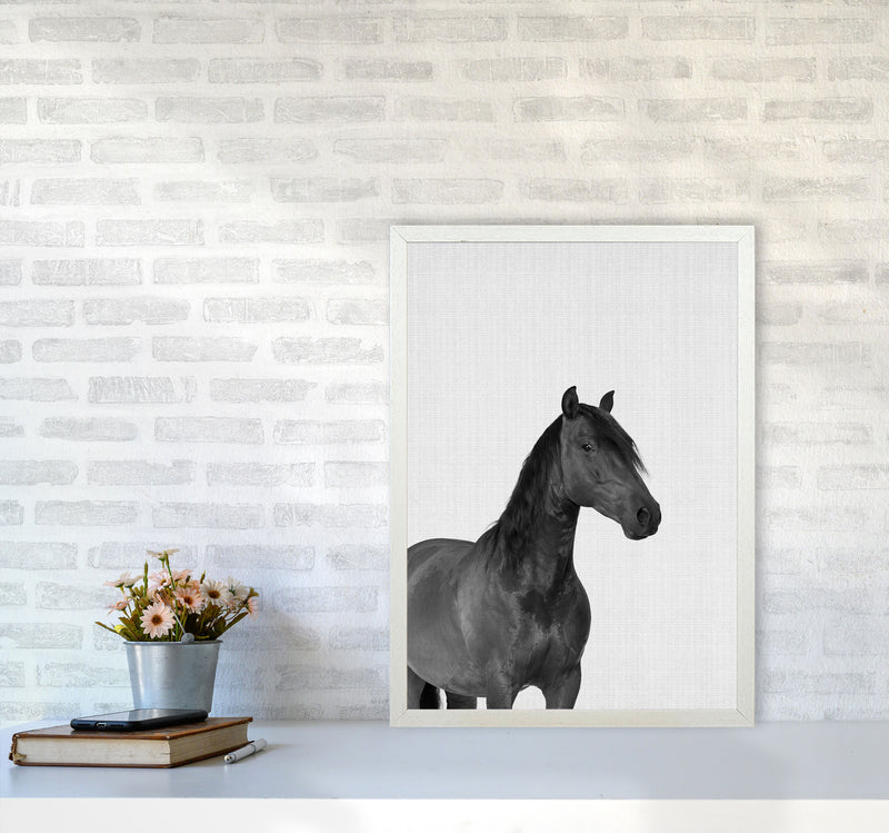 The Dark Horse Rides At Night Art Print by Jason Stanley A2 Oak Frame