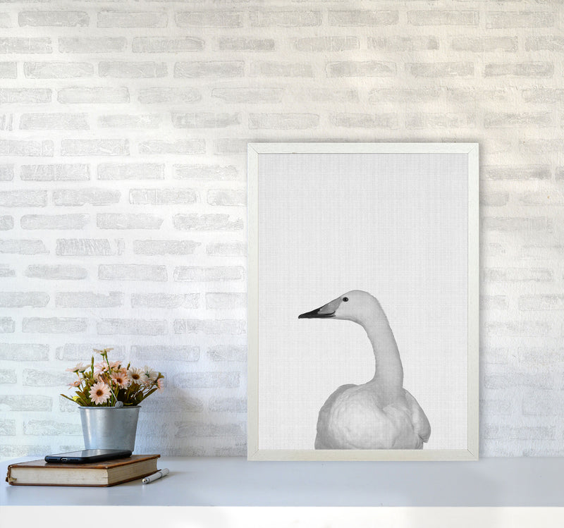 The Case Of The Lost Goose Art Print by Jason Stanley A2 Oak Frame