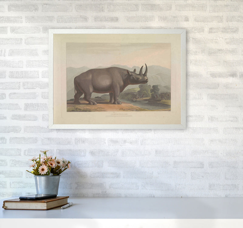 Vintage Rhino Illustration Art Print by Jason Stanley A2 Oak Frame
