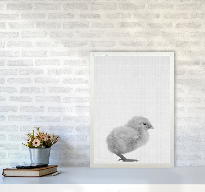 Just Me And My Chick Copy Art Print by Jason Stanley A2 Oak Frame