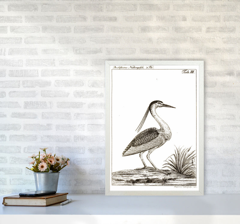 Vintage Hunting Bird Art Print by Jason Stanley A2 Oak Frame