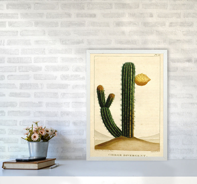 Vintage Cactus II Art Print by Jason Stanley A2 Oak Frame