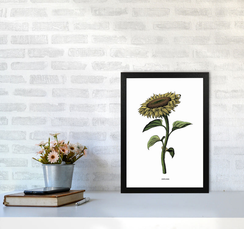 Sunflowers For President Art Print by Jason Stanley A3 White Frame