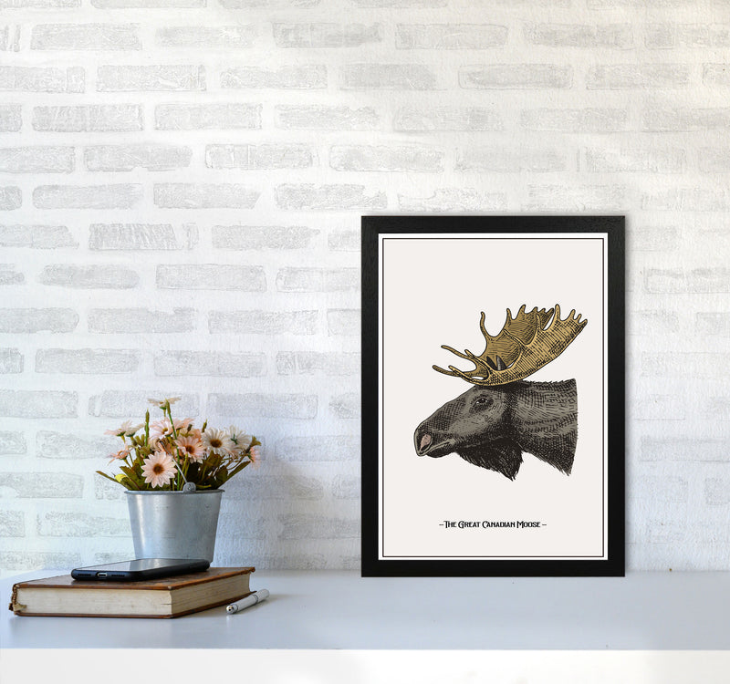 The Great Canadian Moose Art Print by Jason Stanley A3 White Frame
