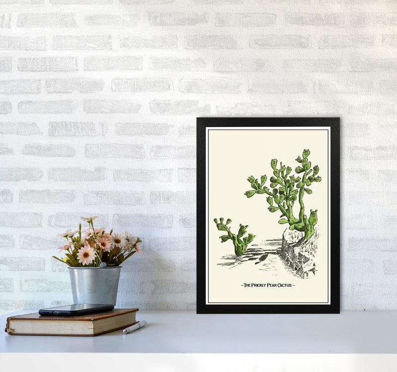 The Prickly Pear Cactus Art Print by Jason Stanley A3 White Frame