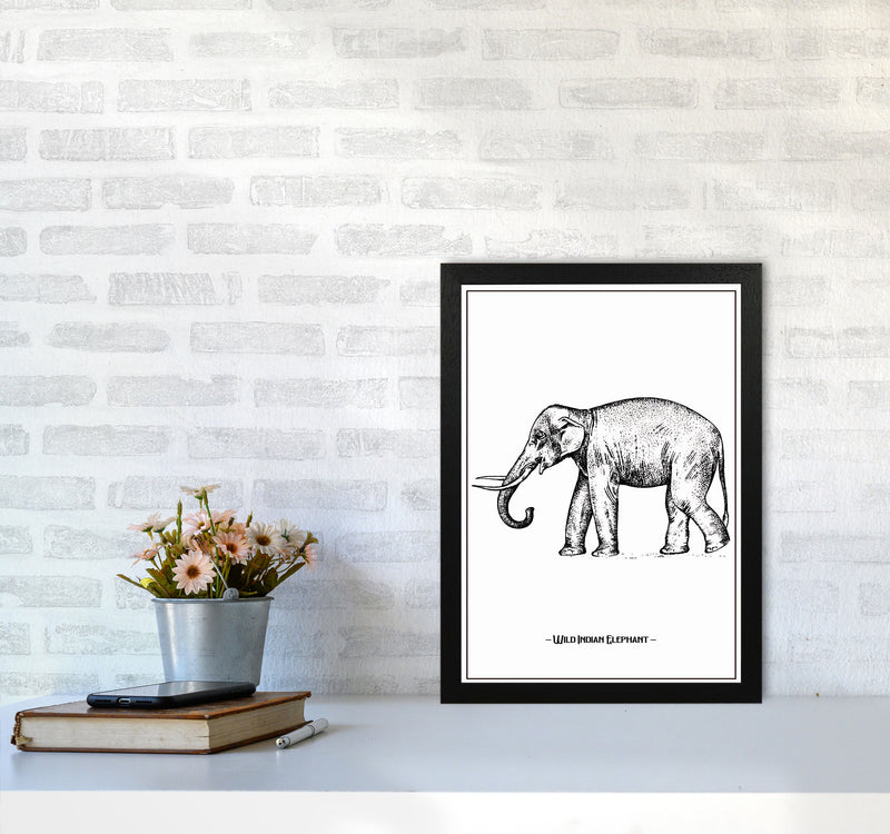 Wild Indian Elephant Art Print by Jason Stanley A3 White Frame