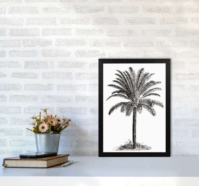 Vintage Palm Tree Art Print by Jason Stanley A3 White Frame