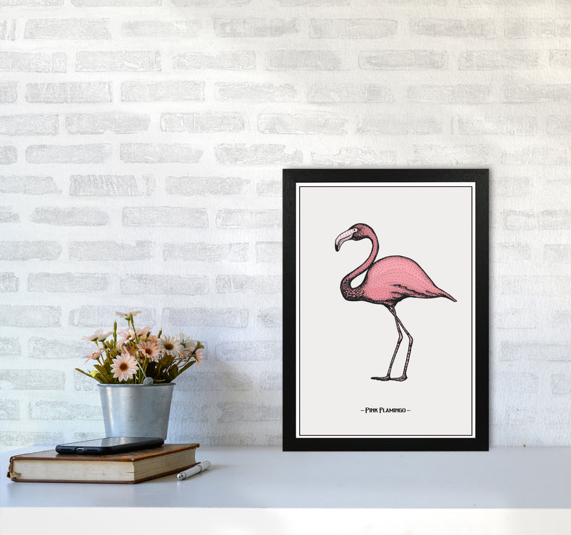 Pink Flamingo Art Print by Jason Stanley A3 White Frame