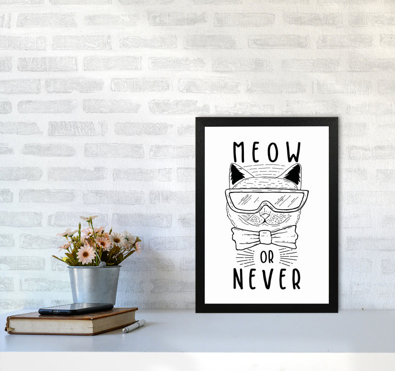 Meow Or Never Art Print by Jason Stanley A3 White Frame