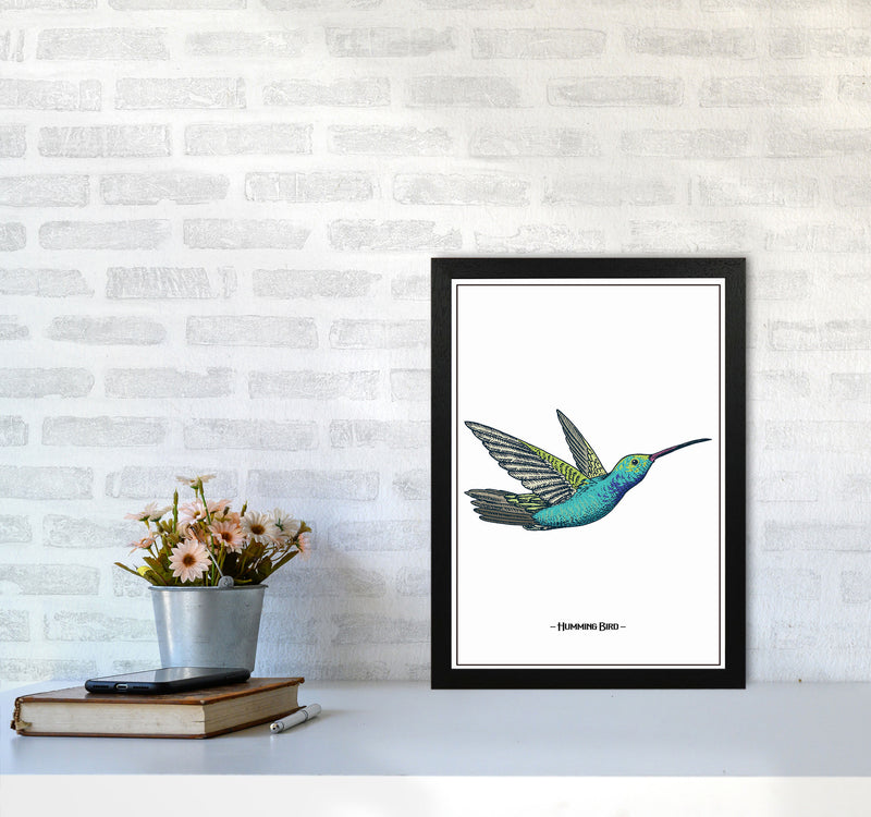 Humming Bird Art Print by Jason Stanley A3 White Frame