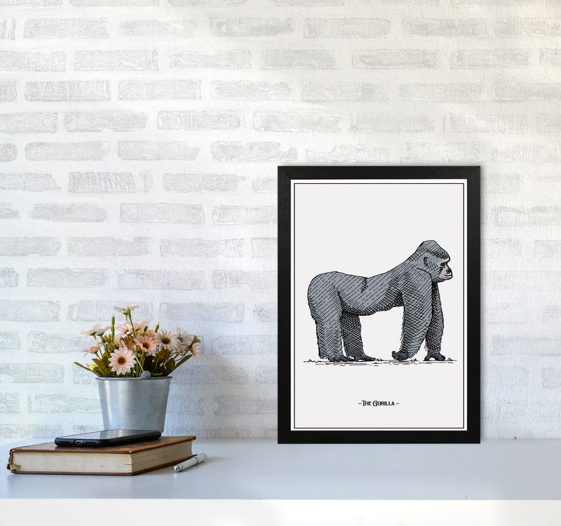 The Gorilla Art Print by Jason Stanley A3 White Frame
