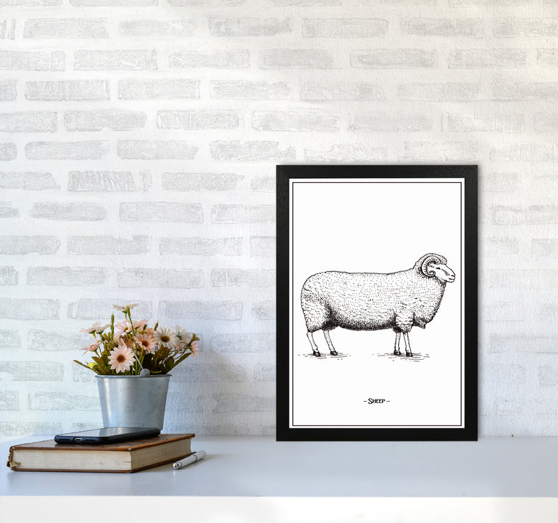 Sheep Art Print by Jason Stanley A3 White Frame