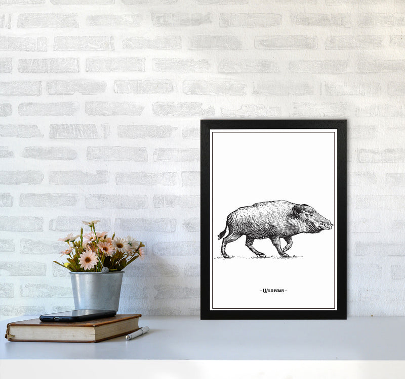 Wild Boar Art Print by Jason Stanley A3 White Frame