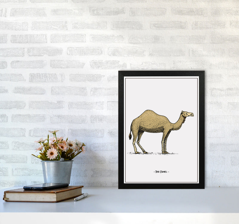 The Camel Art Print by Jason Stanley A3 White Frame