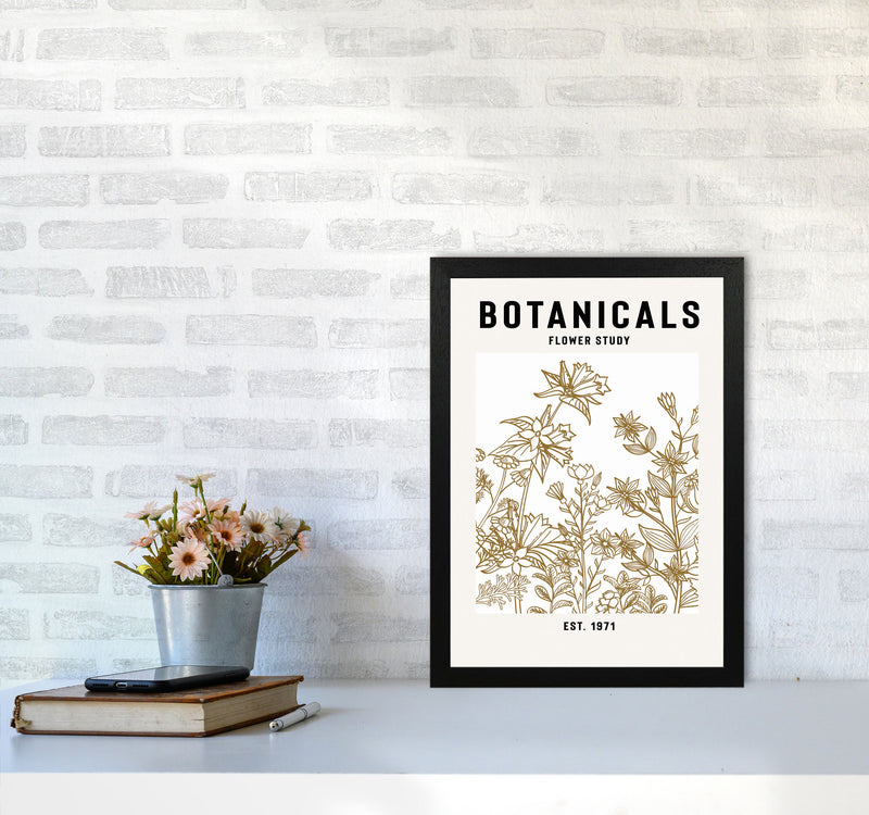 Botanicals Flower Study II Art Print by Jason Stanley A3 White Frame