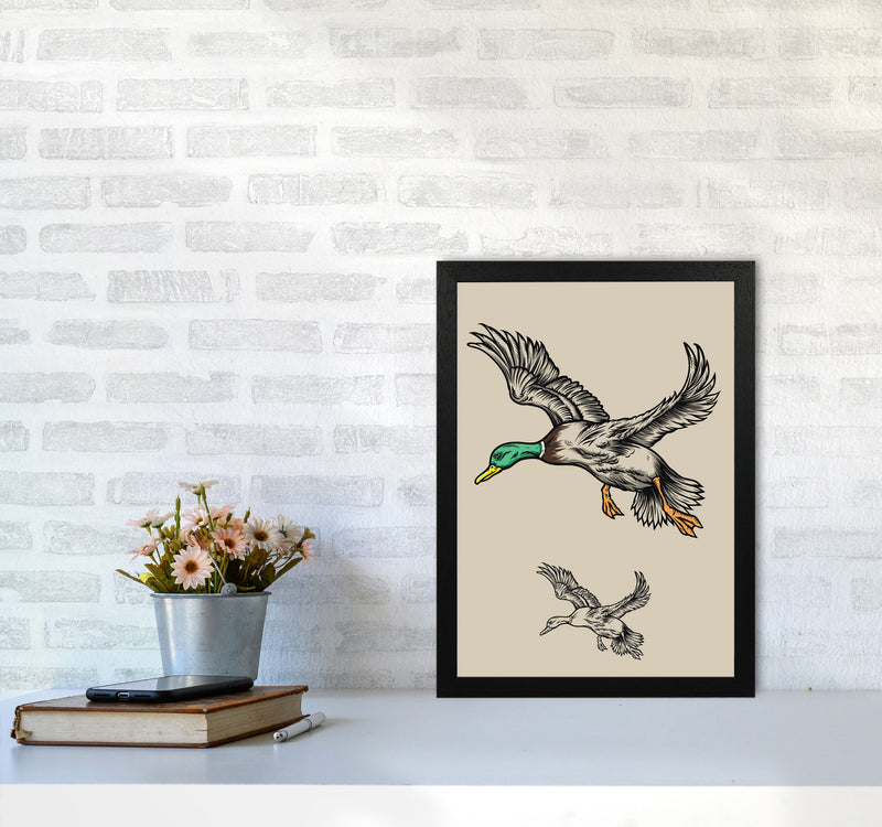 Flying Ducks Art Print by Jason Stanley A3 White Frame