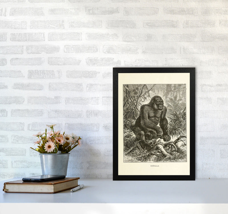 The Other King Of The Jungle Art Print by Jason Stanley A3 White Frame
