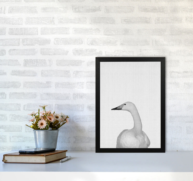 The Case Of The Lost Goose Art Print by Jason Stanley A3 White Frame
