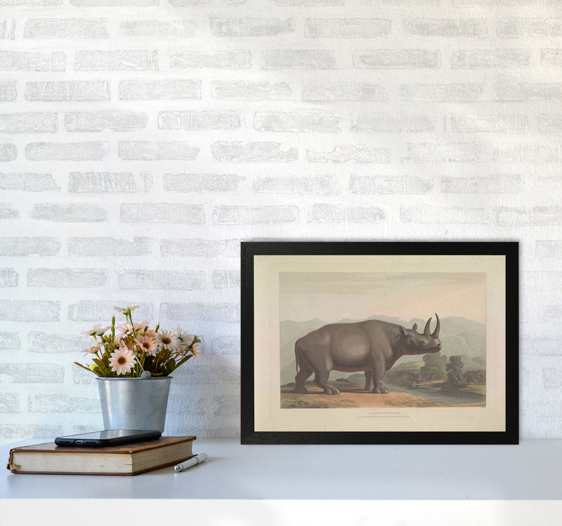 Vintage Rhino Illustration Art Print by Jason Stanley A3 White Frame