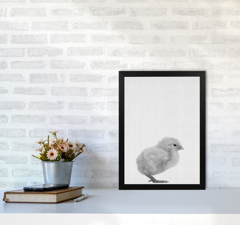 Just Me And My Chick Copy Art Print by Jason Stanley A3 White Frame