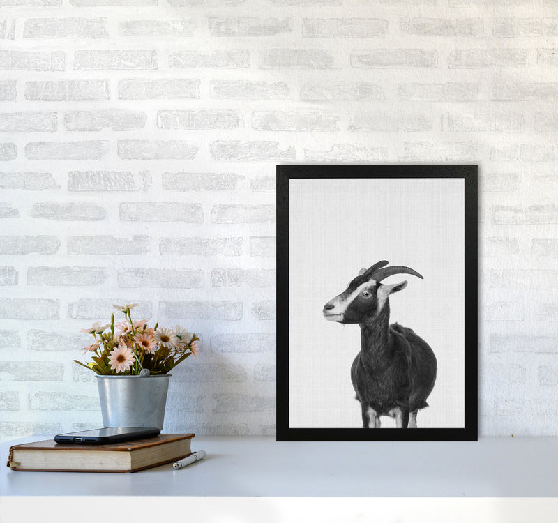 This Goat Takes The Cake Art Print by Jason Stanley A3 White Frame