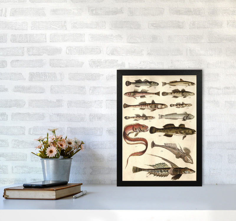 Creatures Of The Sea Art Print by Jason Stanley A3 White Frame