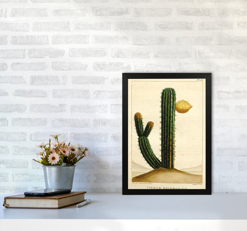 Vintage Cactus II Art Print by Jason Stanley A3 White Frame