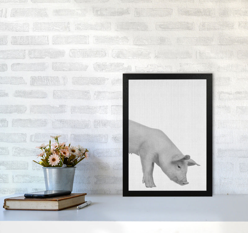 The Cleanest Pig Art Print by Jason Stanley A3 White Frame