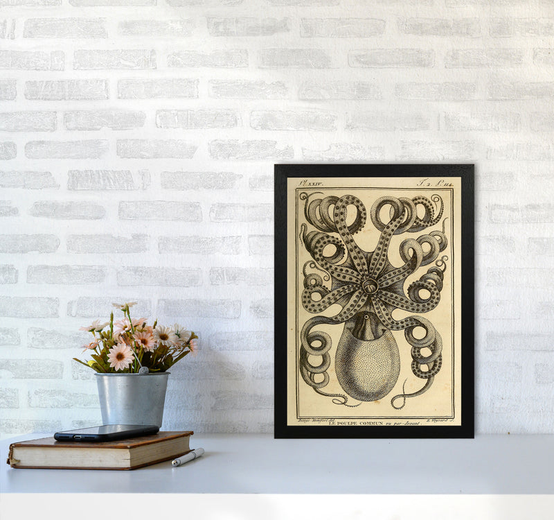 Vintage Octopus Art Print by Jason Stanley A3 White Frame