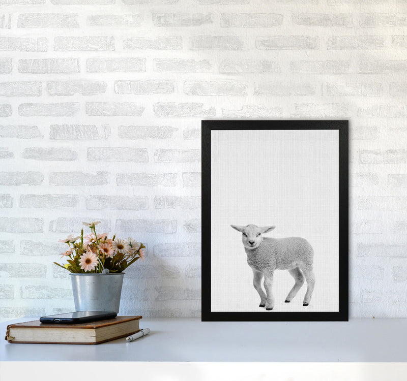 Lamb Art Print by Jason Stanley A3 White Frame