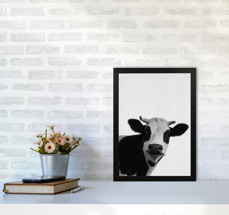Holy Cow Art Print by Jason Stanley A3 White Frame