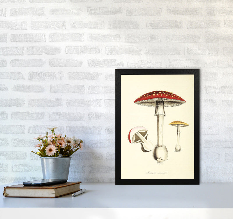 Magic Mushrooms Art Print by Jason Stanley A3 White Frame