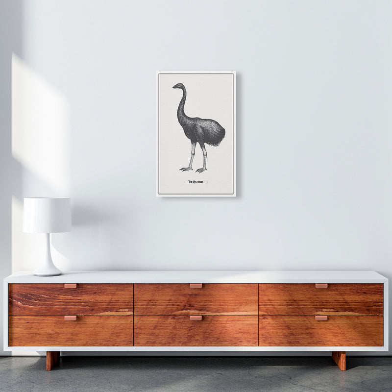 The Ostrich Art Print by Jason Stanley A3 Canvas