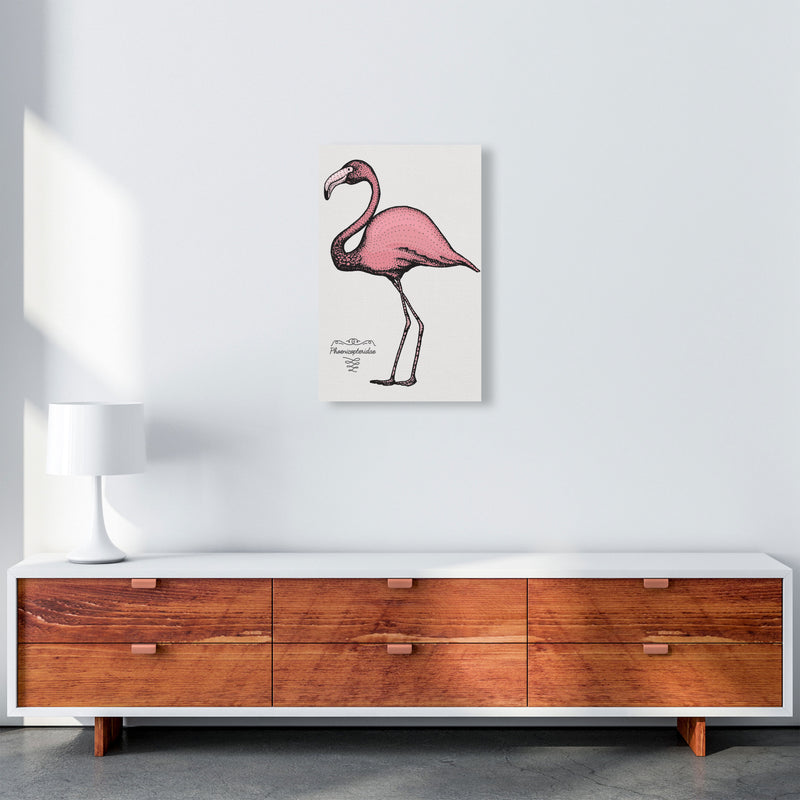 Flamingo Art Print by Jason Stanley A3 Canvas