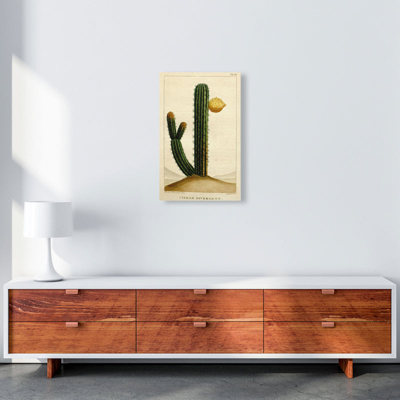 Vintage Cactus II Art Print by Jason Stanley A3 Canvas